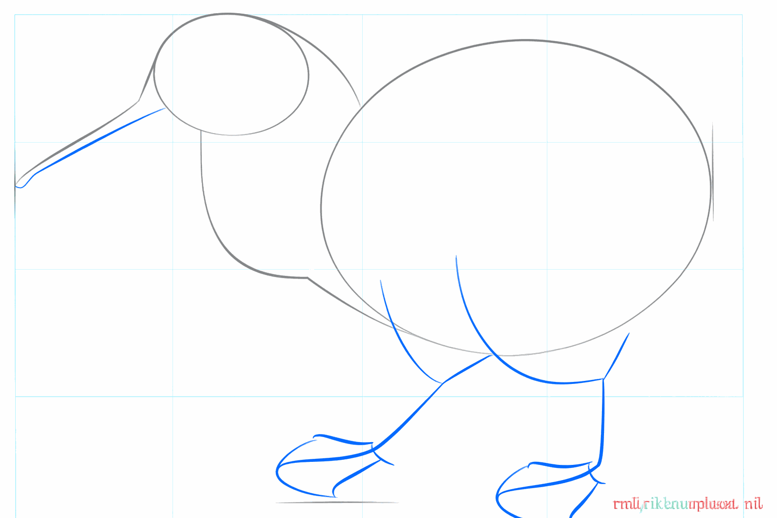 Tekenles kiwi vogel stap 3: Een lange lijn trekken voor de snavel van de kiwi.