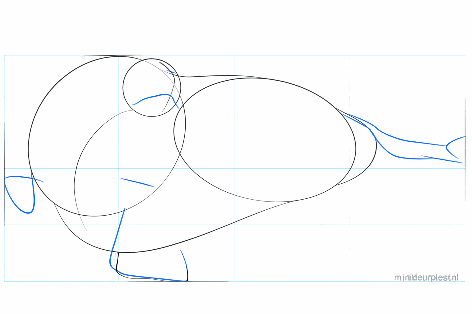 Hulplijnen voor de snuit en de positie van de flippers.