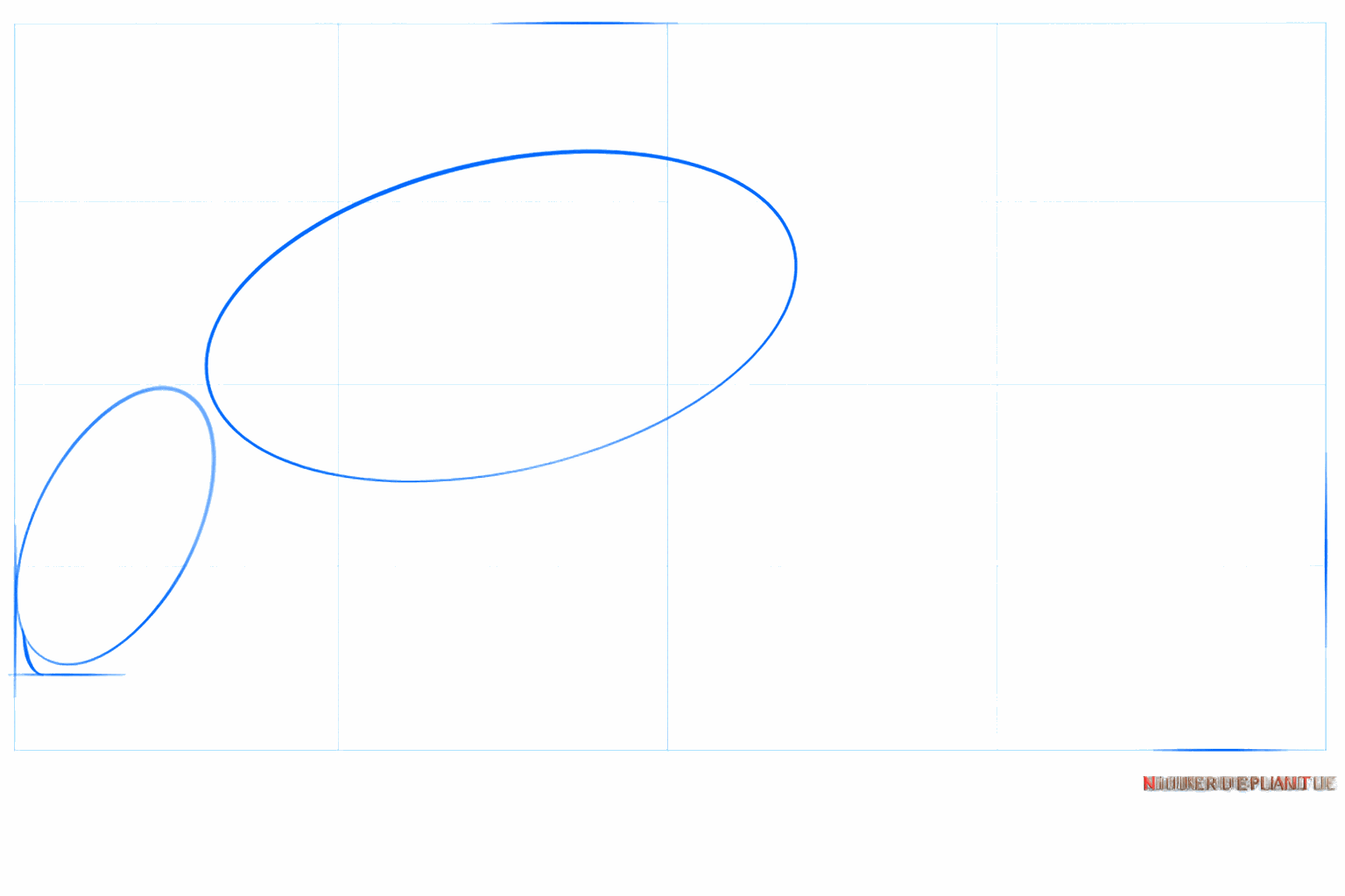 Twee schuine ovalen als basis voor het lichaam van de orka.