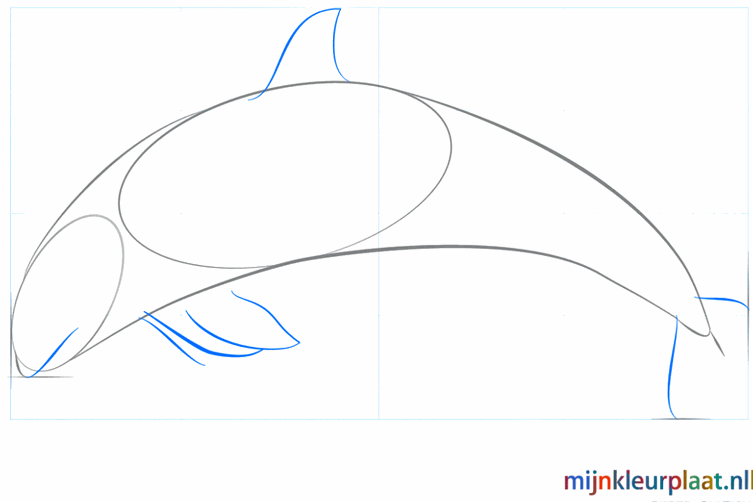 Lijnen voor de mond en de brede staartvin van de orka.
