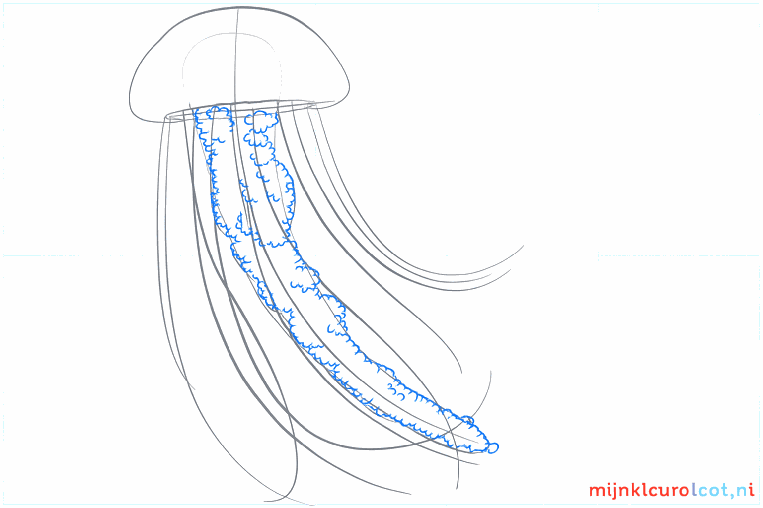Dunne tentakels die vanuit de hoed naar beneden hangen.