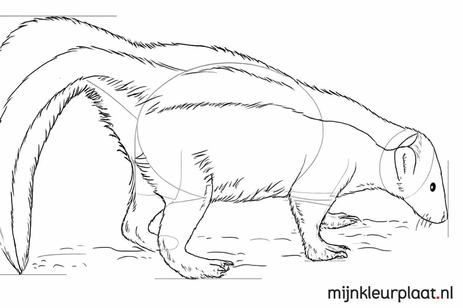 Teken nageltjes en maak de neus van het stinkdier af.