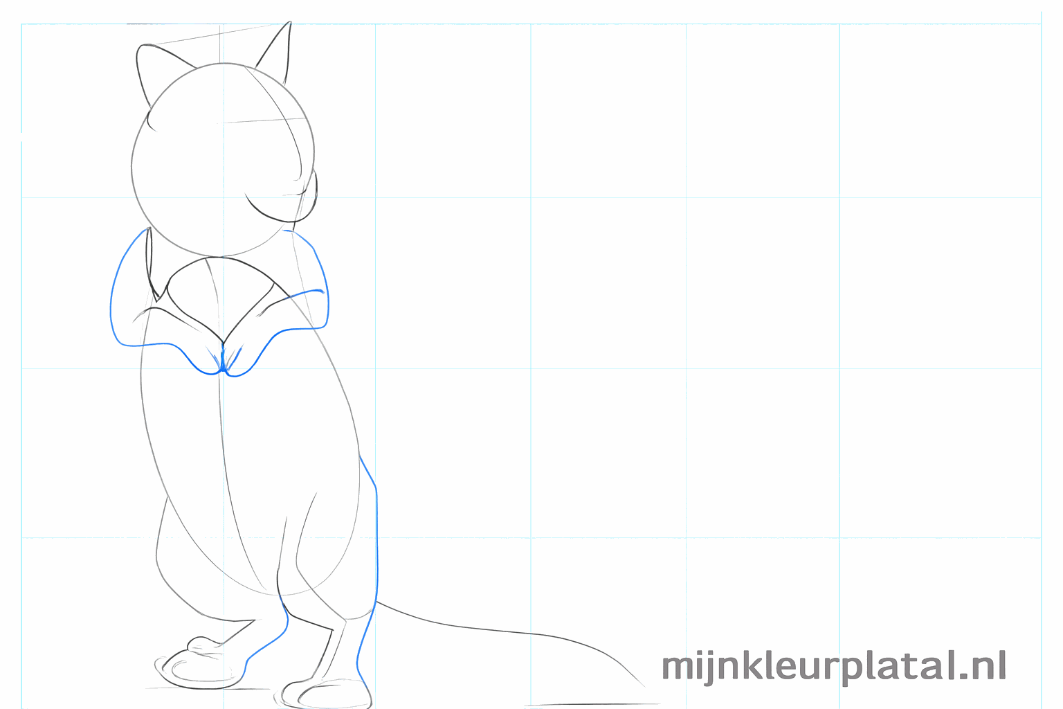 De pootjes krijgen vorm en de snuit wordt zichtbaar op de kop.