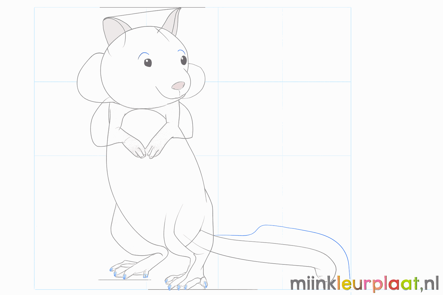 Kleine teentjes aan de poten en een brede vorm voor de pluizige staart.