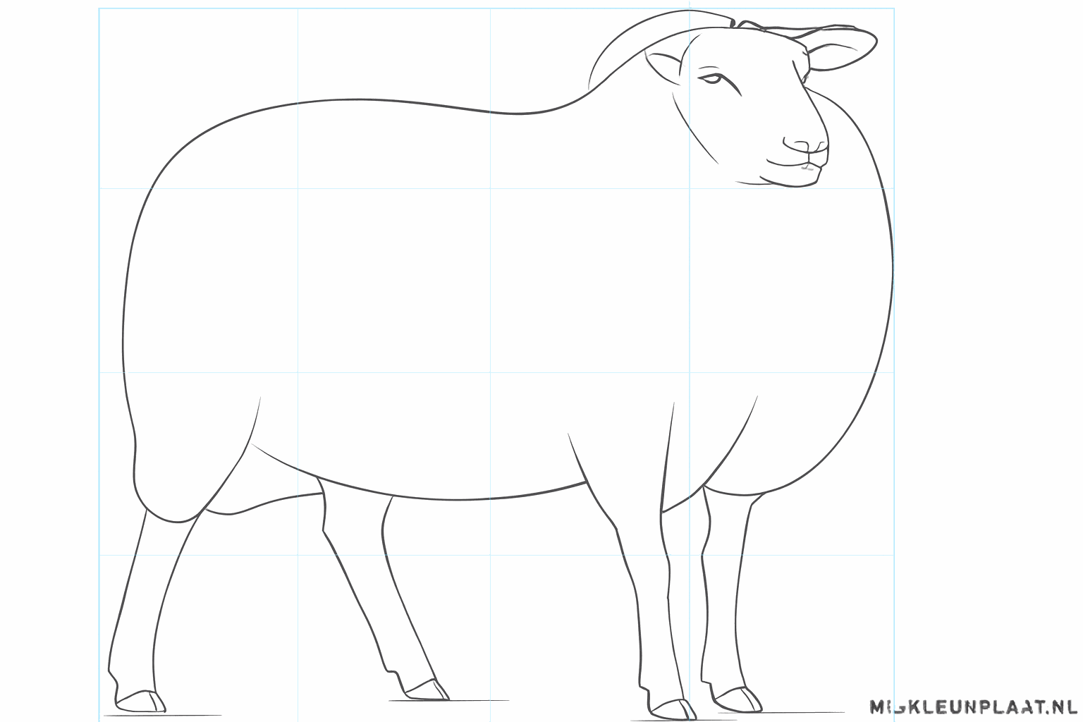 Details van de hoeven en het gezicht van het schaap.