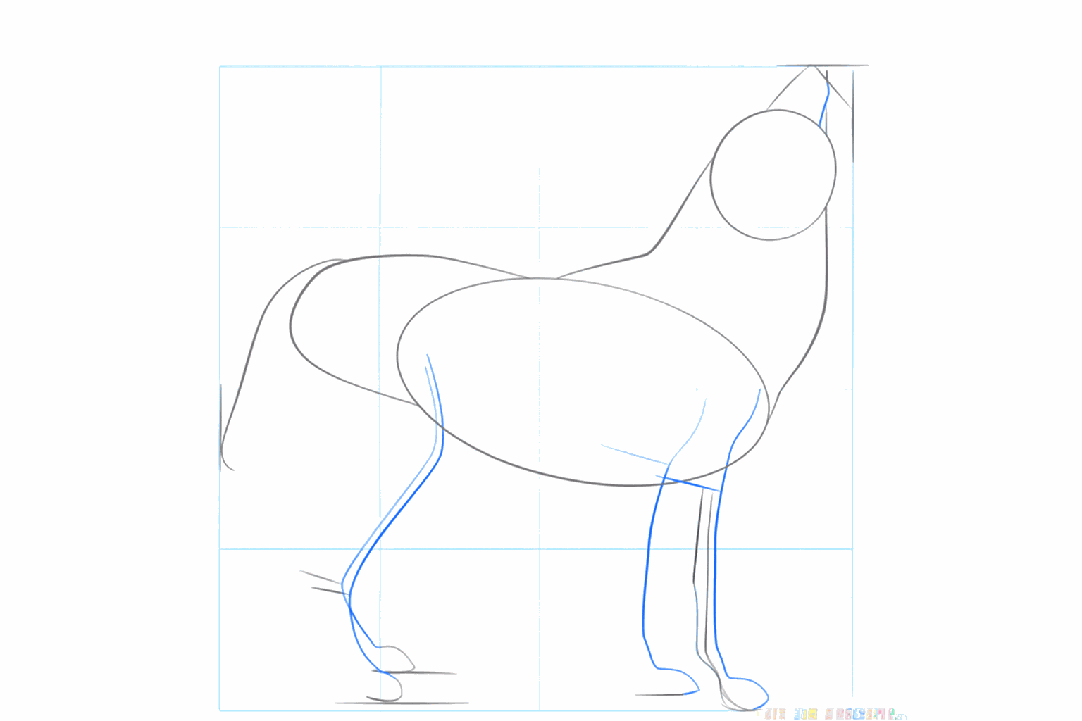 Hulplijnen voor de poten en een lange lijn voor de staart van de wolf.