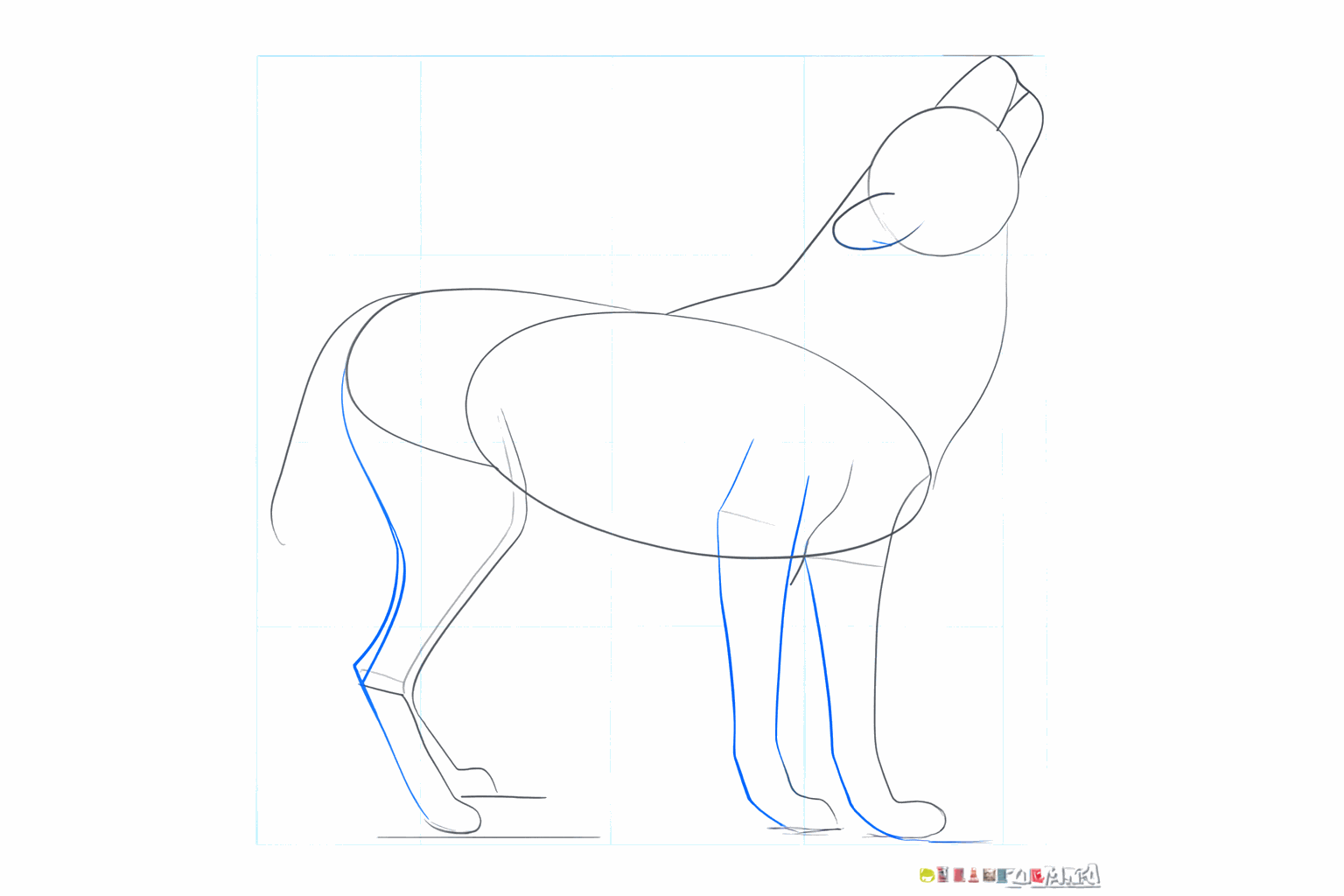De snuit van de wolf wijst omhoog en de oortjes staan bovenop de kop.