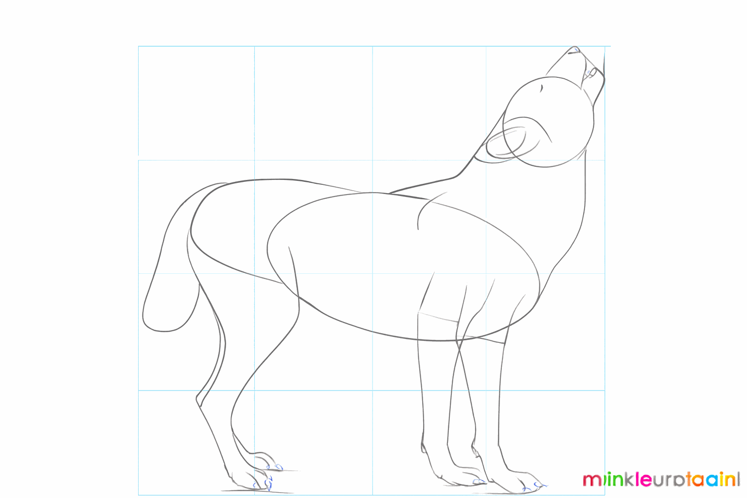 Een dikke staart en een klein oogje op de kop van de wolf.