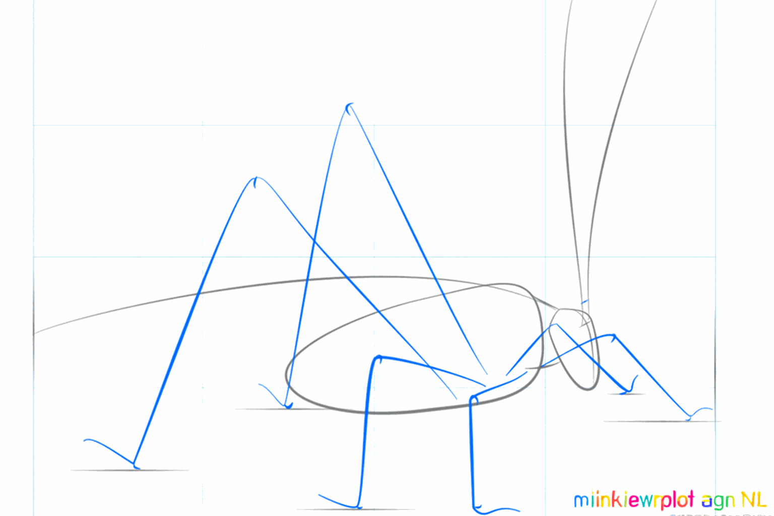 Hulplijnen voor de poten onder het lichaam van de sprinkhaan.