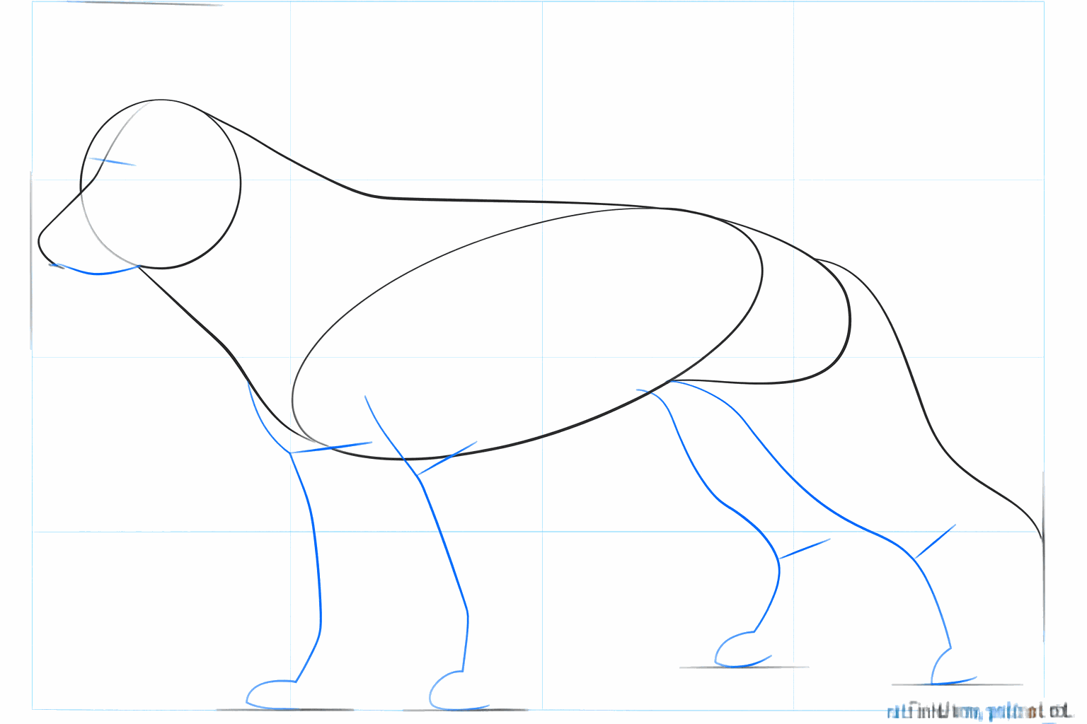 Rechte lijnen voor de poten en een kleine vorm voor de neus van de hond.