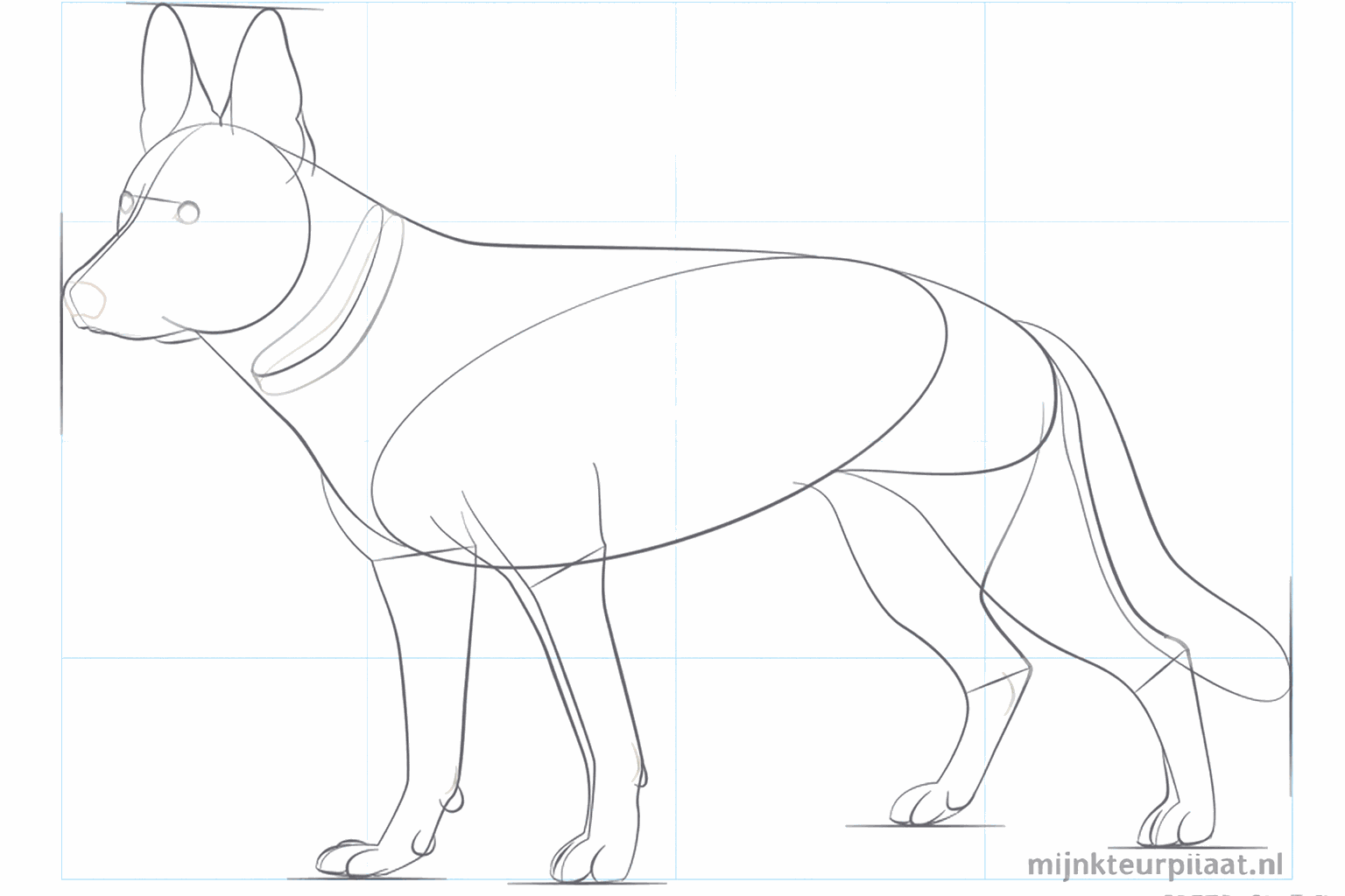 Details zoals een halsband, kleine oogjes en een ronde neus.