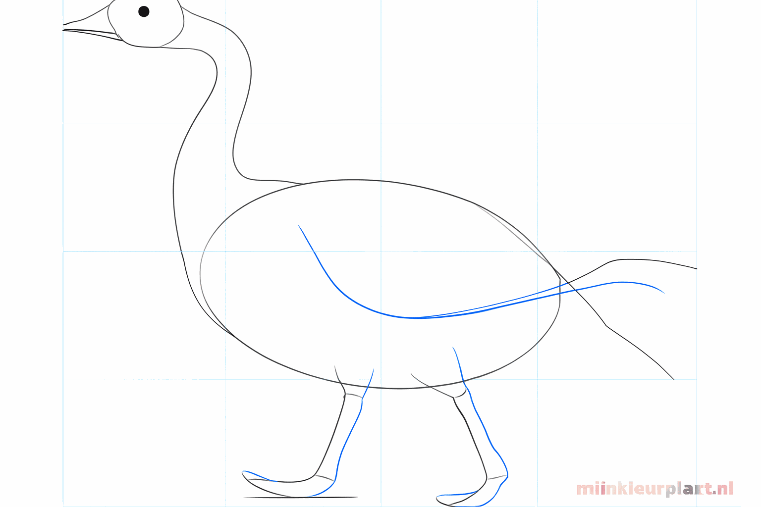 Teken twee verticale lijnen onder het lijf als hulplijnen voor de ganzenpoten.