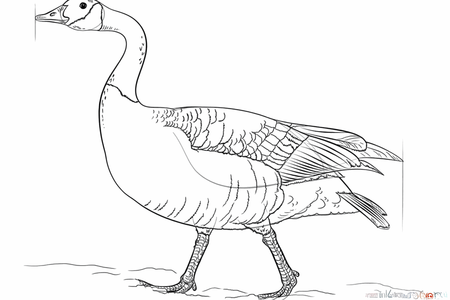 Teken een vlek op de kop en korte lijntjes voor de veertjes op de vleugels.