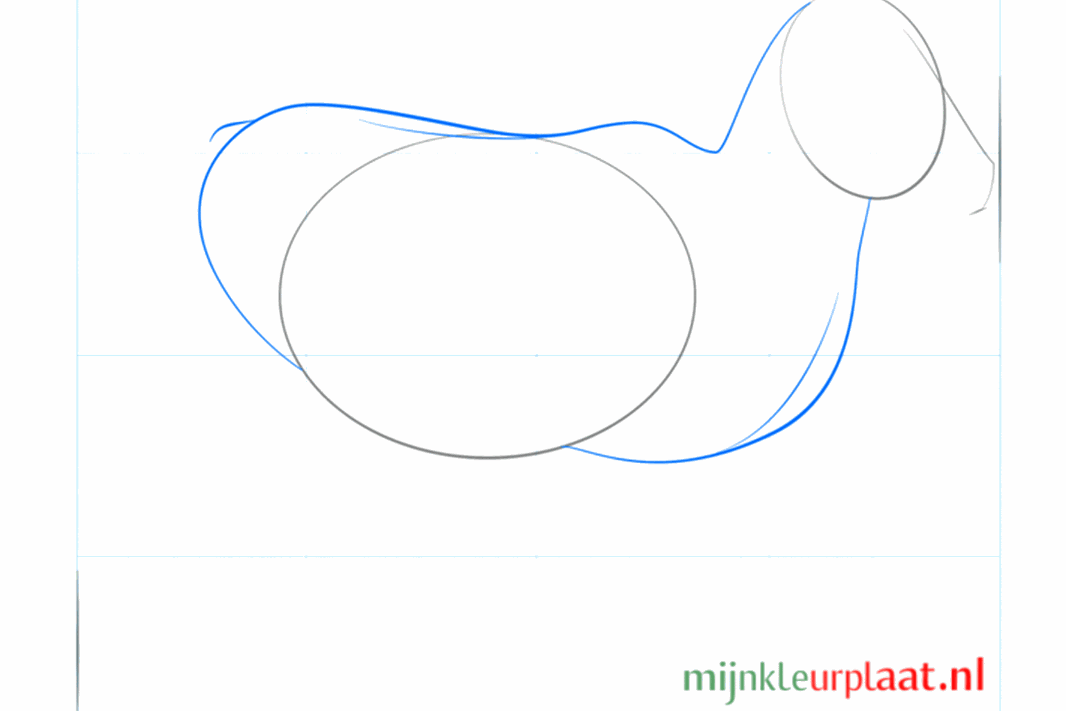 Hulplijnen die de kop met het lichaam verbinden en een kort staartje.