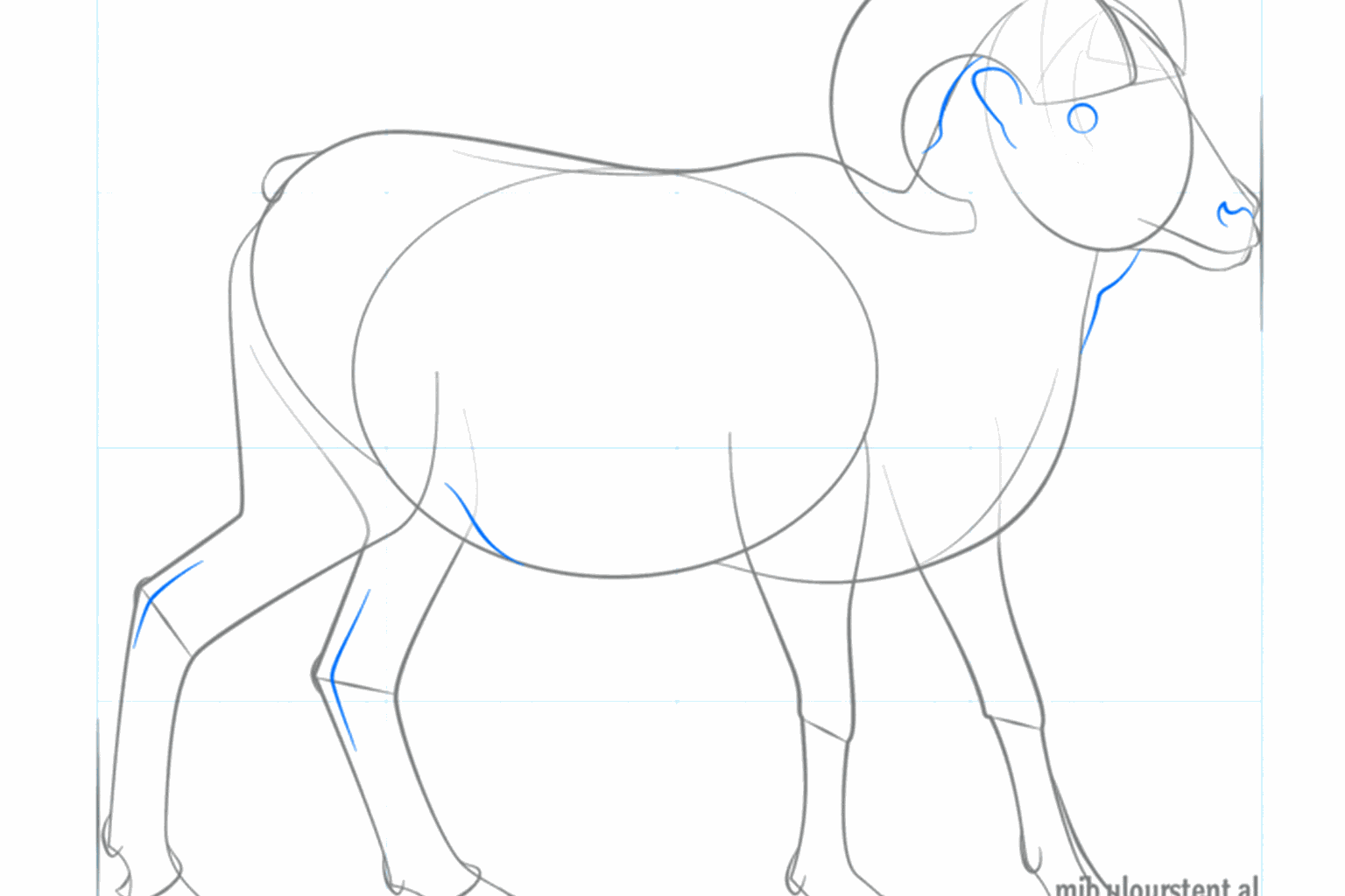 Details van de hoeven en het gezicht van het schaap.