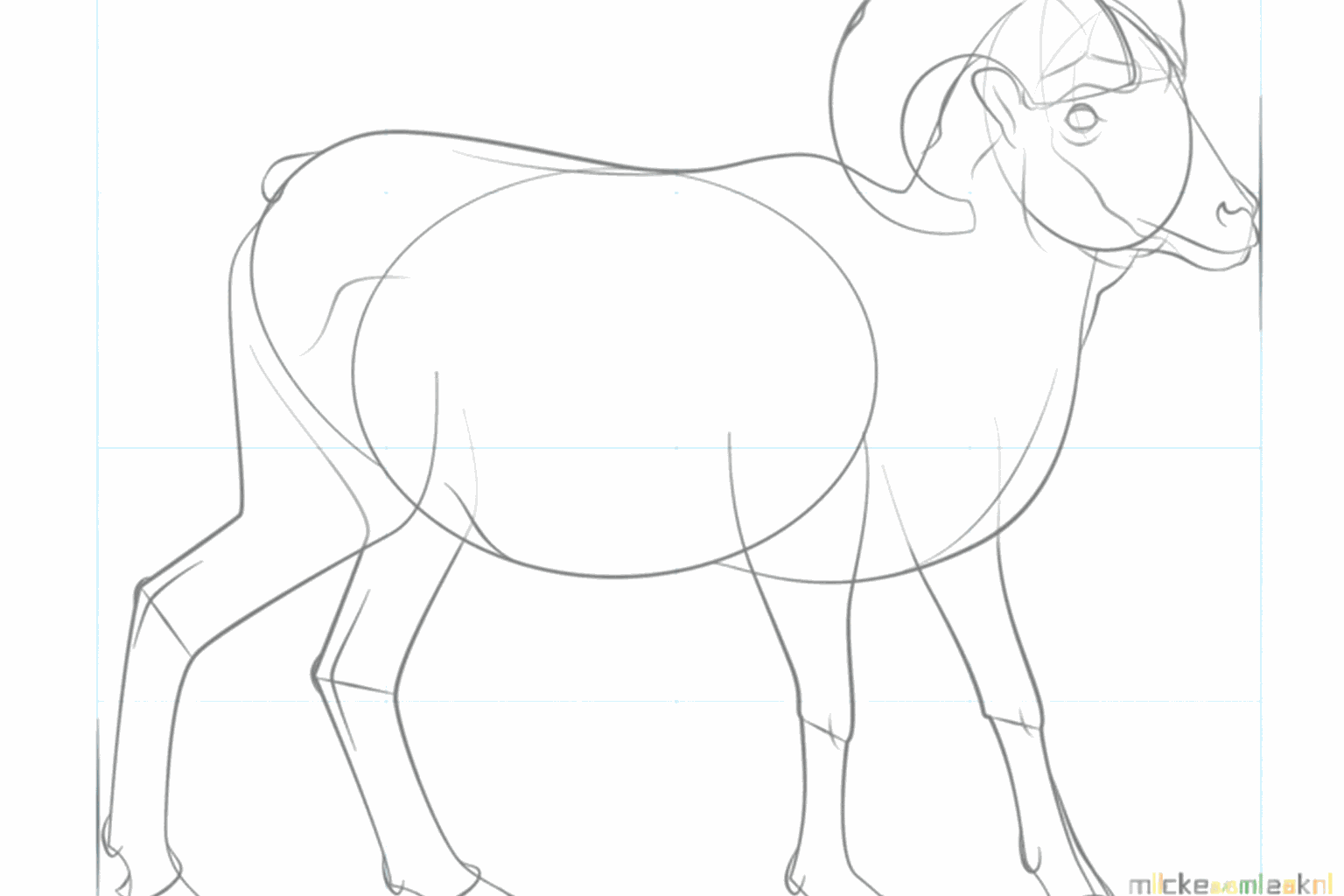 Een oor en een duidelijke lijn voor de buik en nek.