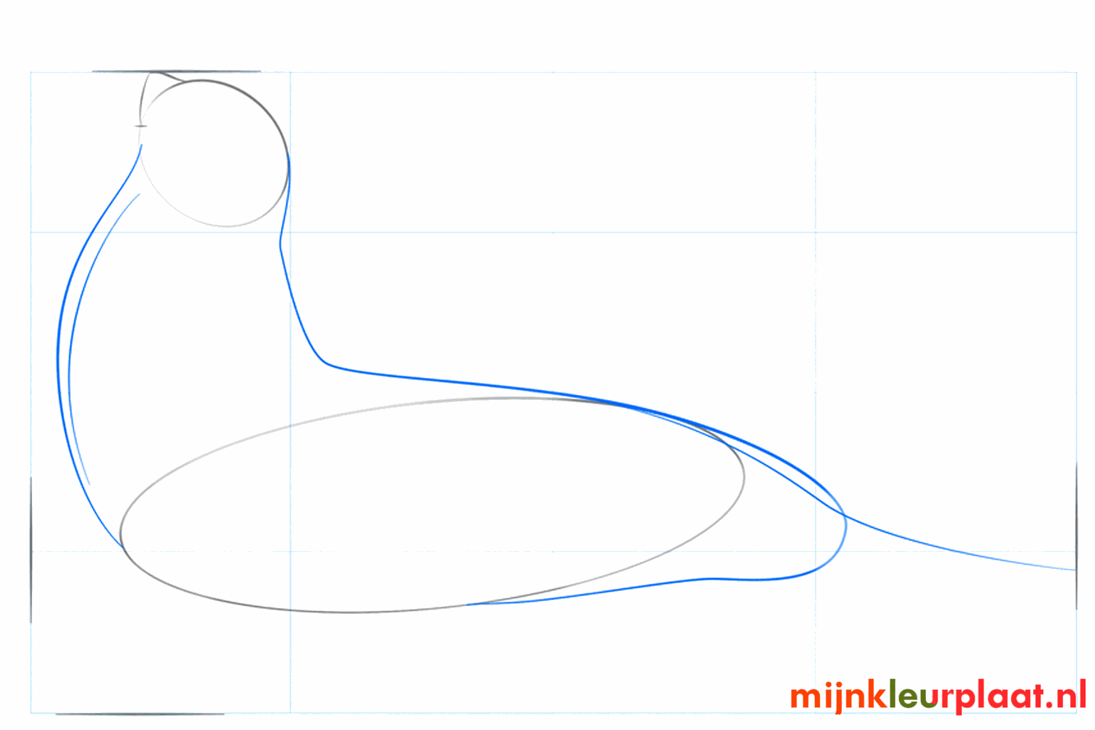 Twee lijnen die de kop en het lichaam van de zeeleeuw met elkaar verbinden.