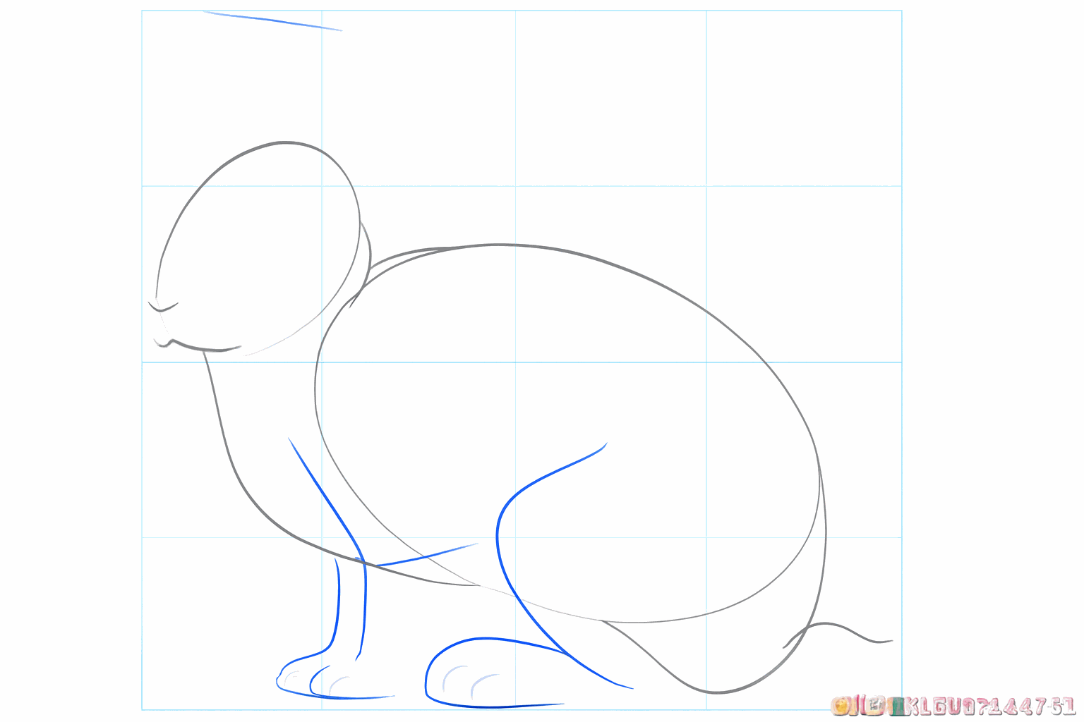 Lijnen die aangeven waar de poten en het gezicht van het konijn komen.