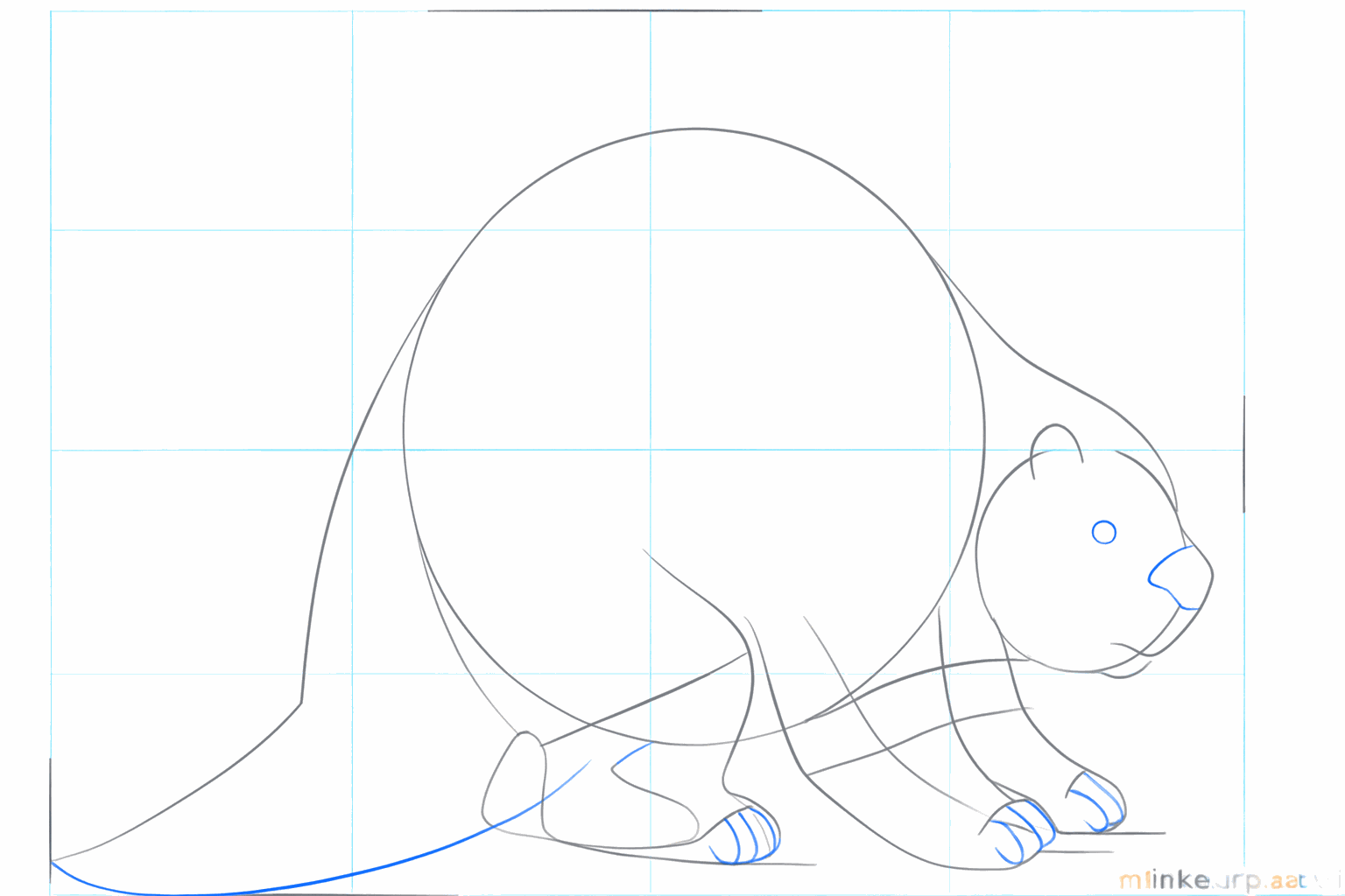 Het gezicht van het stekelvarken met een oog en een ronde neus.