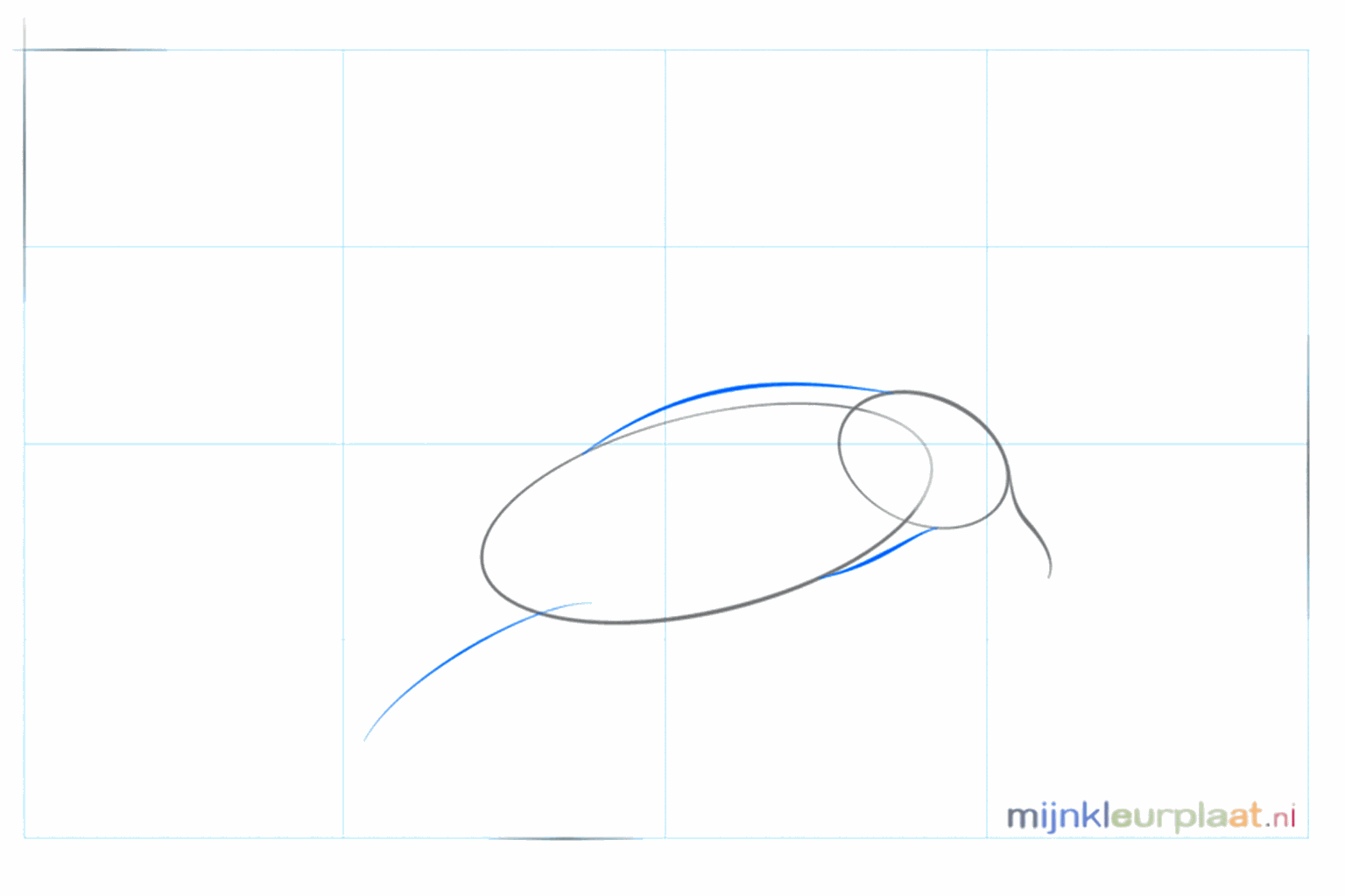 De nek en de staartlijn van de zeemeeuw verbinden de cirkels.
