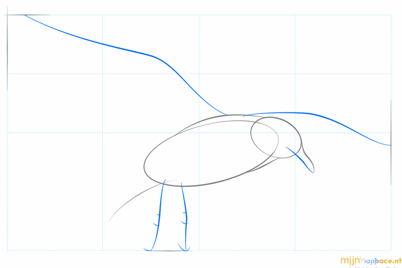 Hulplijnen voor de vleugel en de poten van de zeemeeuw.