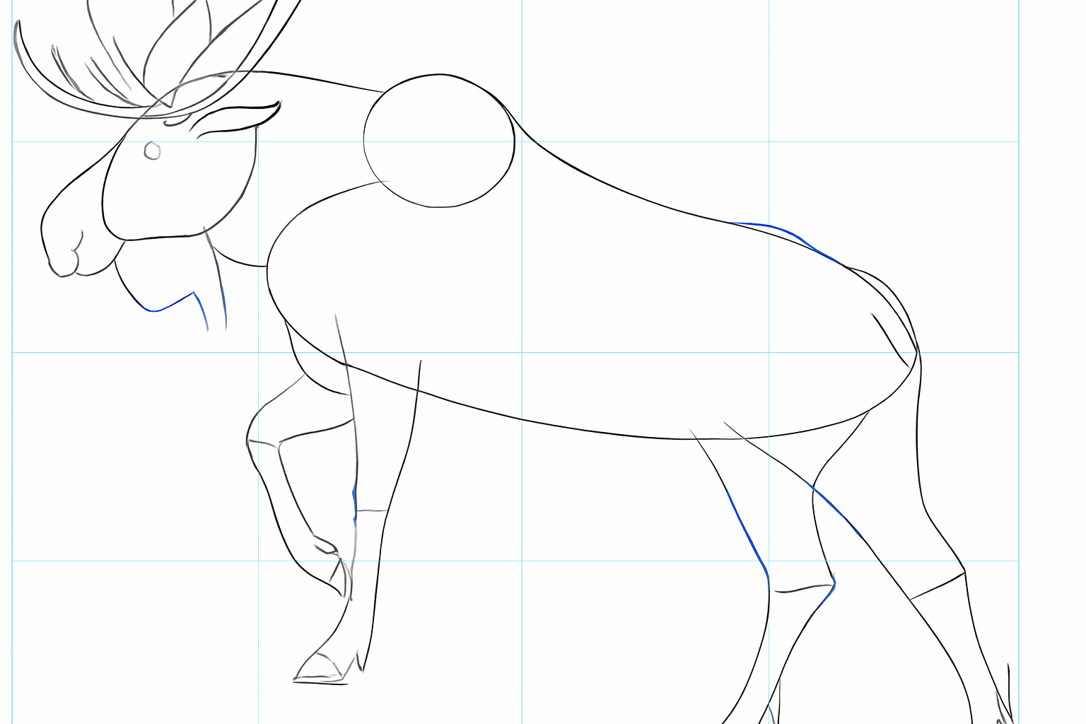 Teken de brede bladen van het gewei en verfijn de kop.