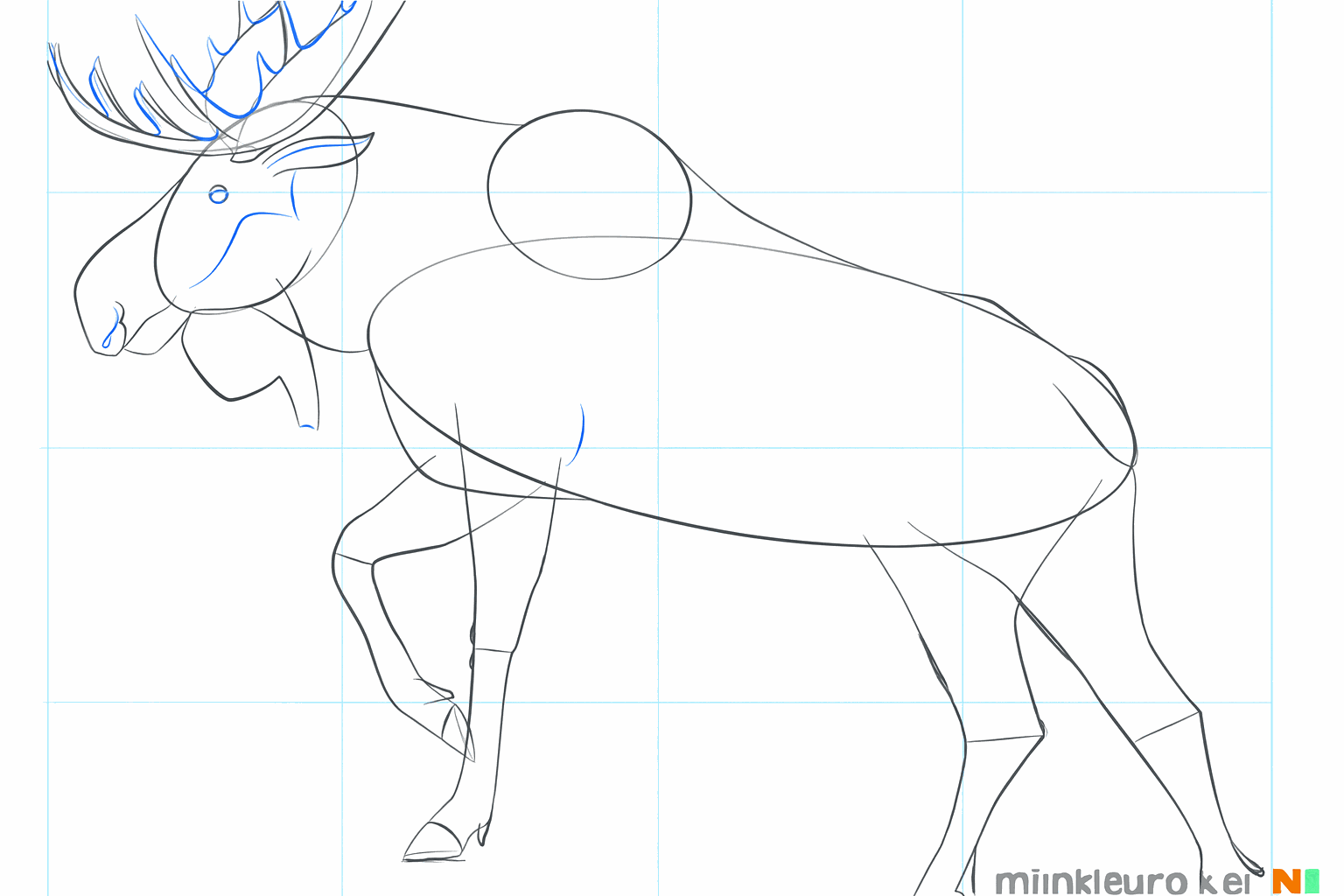 Voeg punten toe aan het gewei en teken het gezicht en de vacht.