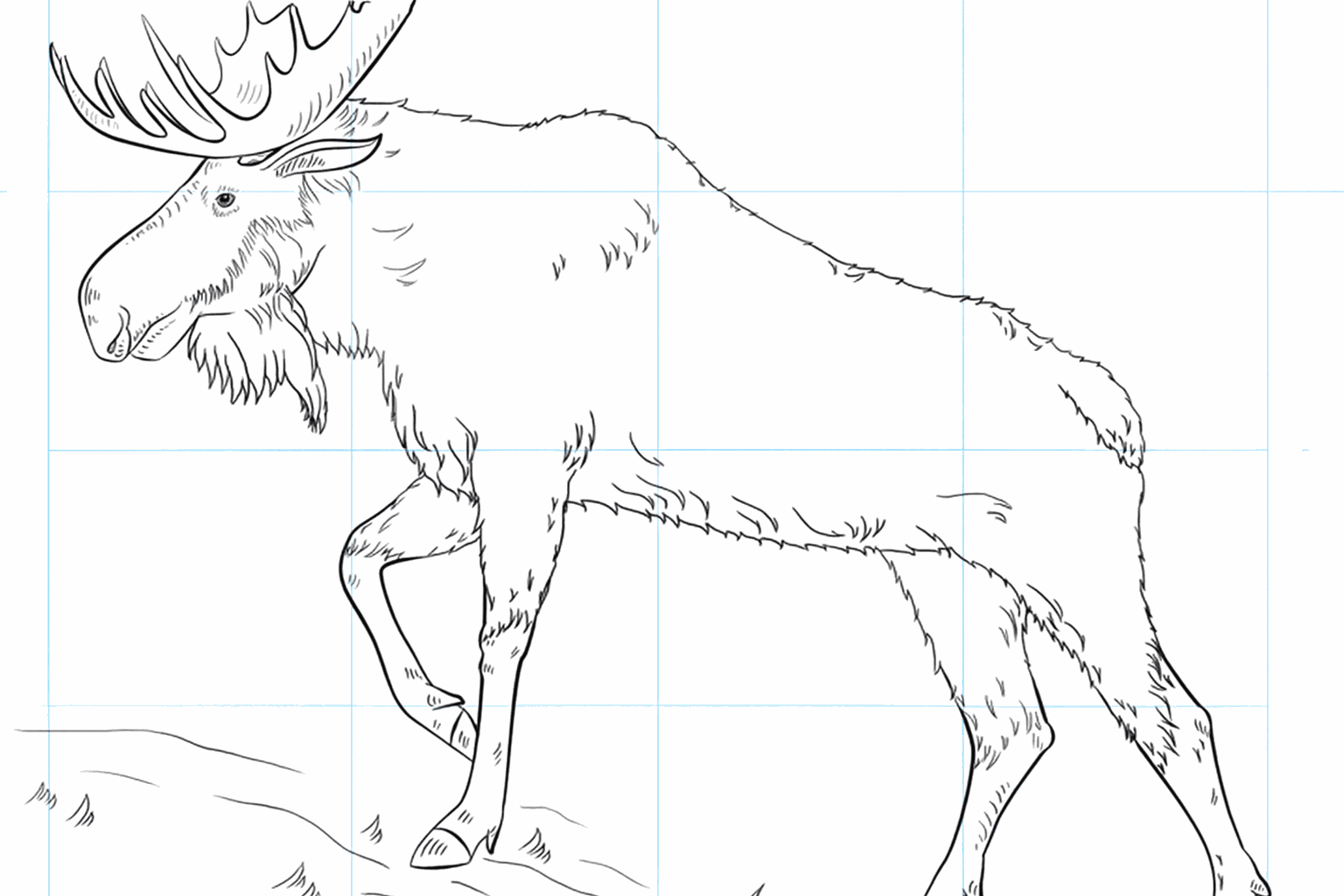 Een grote eland tekenen: Stap-voor-stap tekenen voor kids