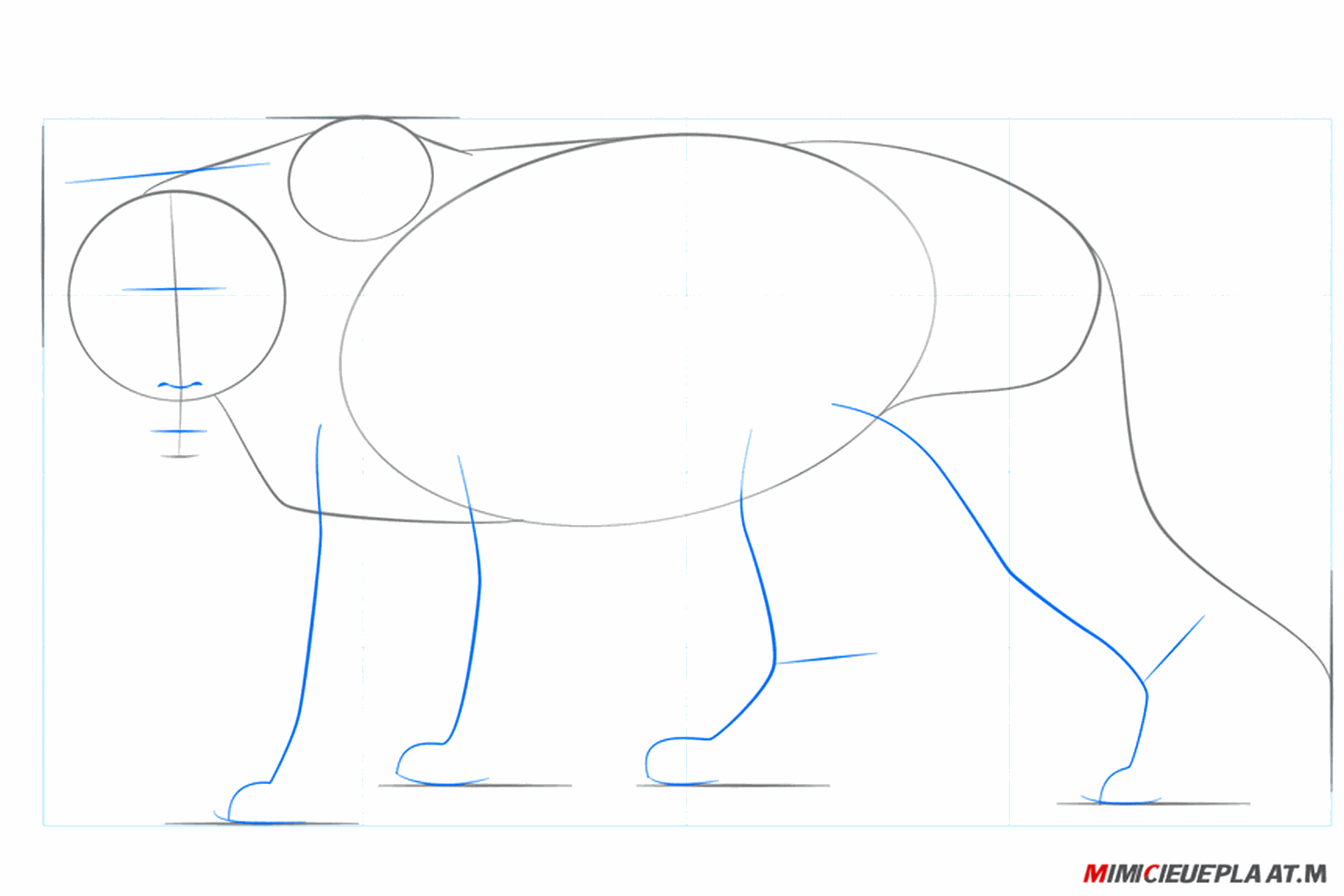 Hulplijnen voor de oren, ogen en de vier poten van de leeuwin.