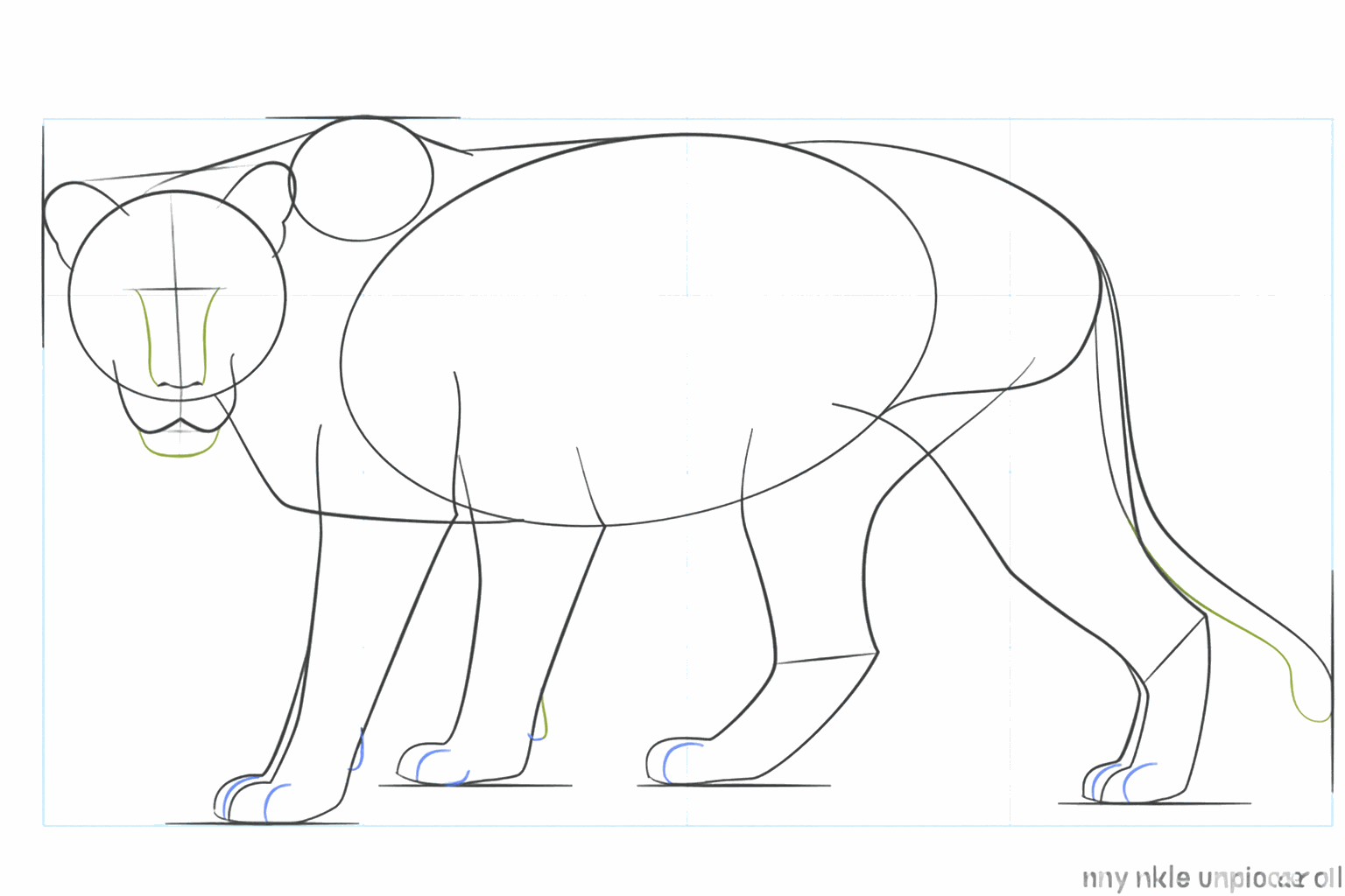 Ronde oren op de kop en een pluizig uiteinde aan de staart tekenen.
