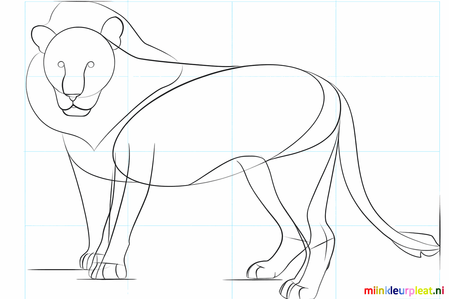 Details van de neus, mond en tenen van de leeuw.