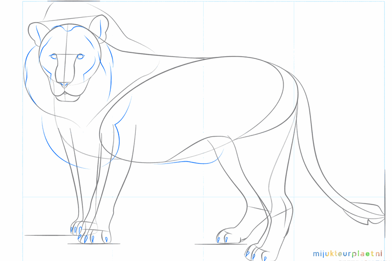 Ogen en het begin van de wilde manen rond de kop.