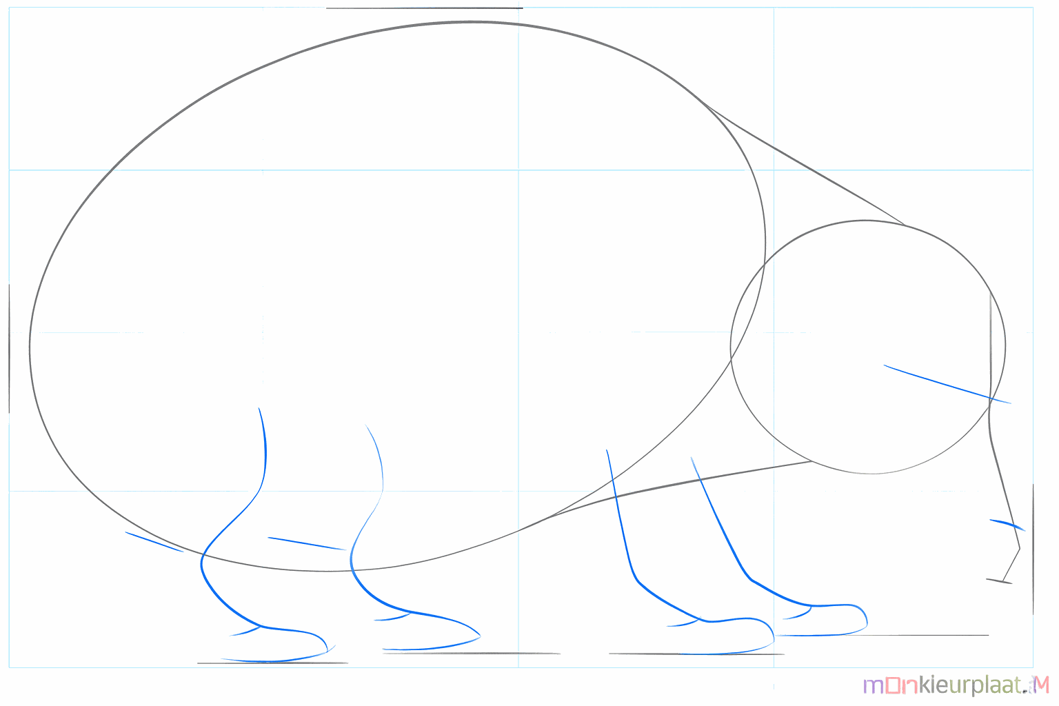 Lijnen die de positie van de snuit en de vier pootjes aangeven.