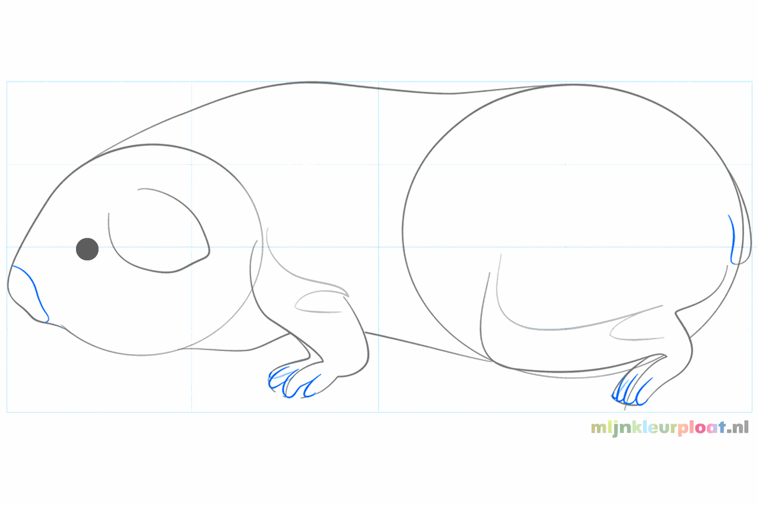 De voorkant van de kop krijgt een rondere vorm voor de neus en mond.