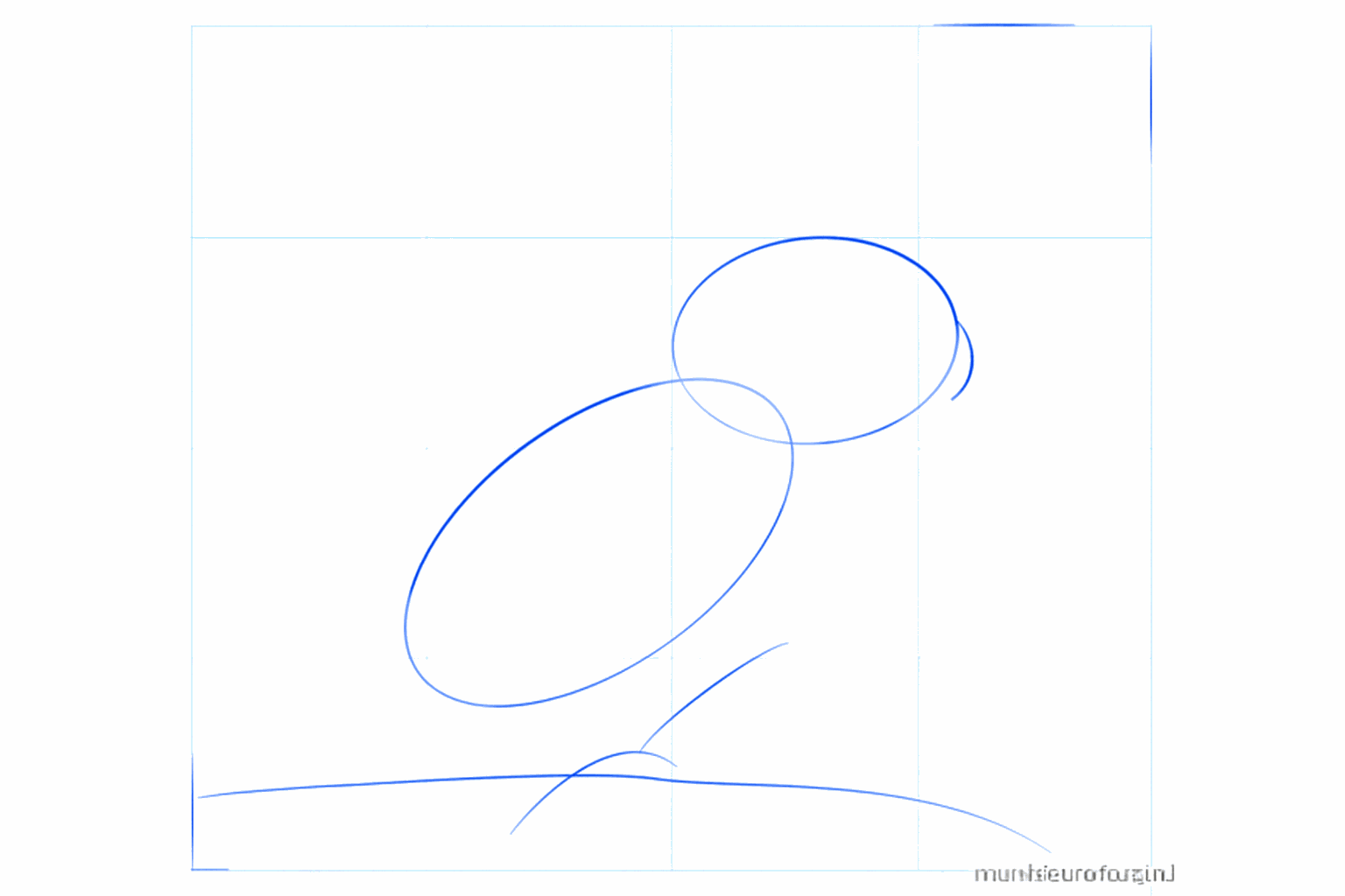 Twee ovalen en een horizontale lijn voor de basis van de kaketoe.