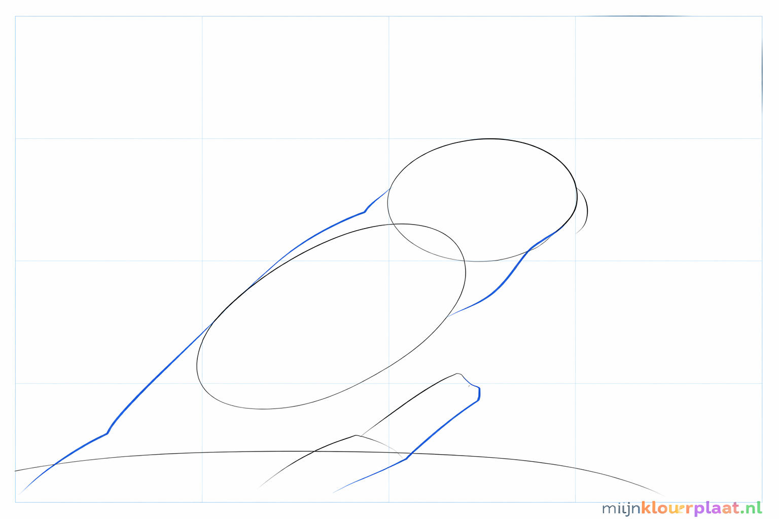De omtrek van de nek en een lange lijn naar beneden voor de staart.