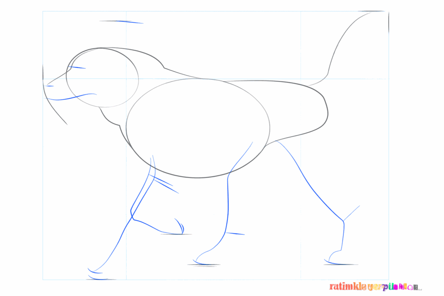 Basislijnen voor de vier poten en kleine vormen voor de oren en de neus op de kop.