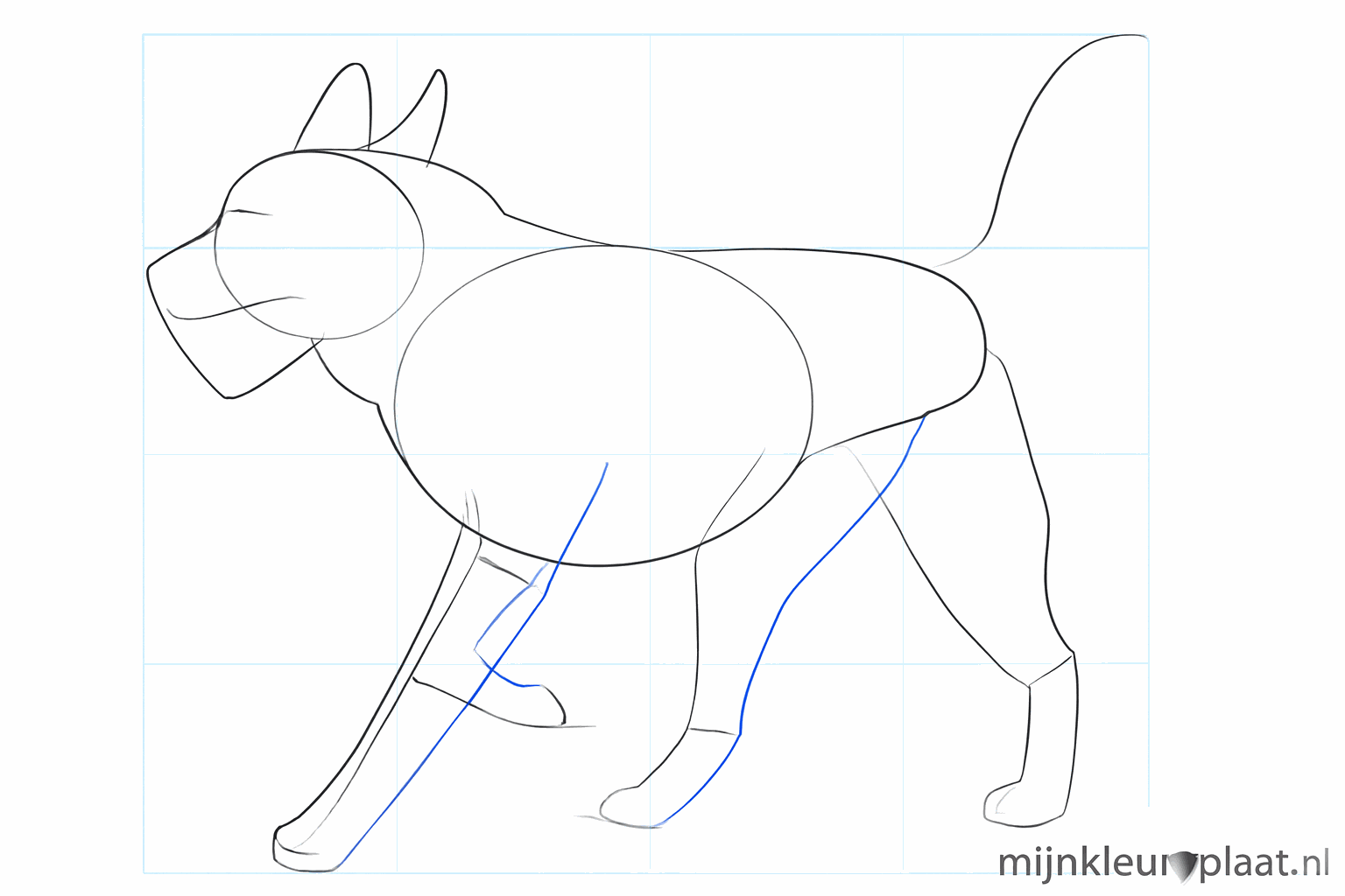 De poten krijgen vorm en volume en de oren bovenop de kop worden puntig getekend.