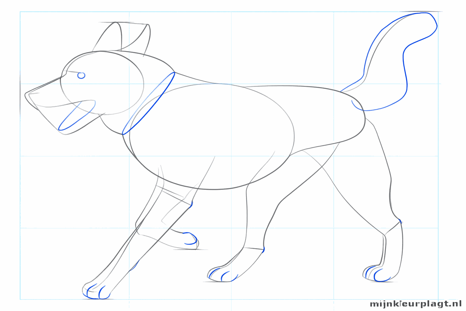 Een dikke staartvorm en kleine details in het gezicht van de Husky zoals de ogen.