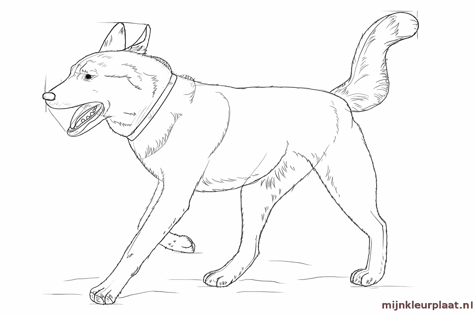 De omtrek van de hond krijgt kleine stekeltjes die lijken op zachte hondenharen.