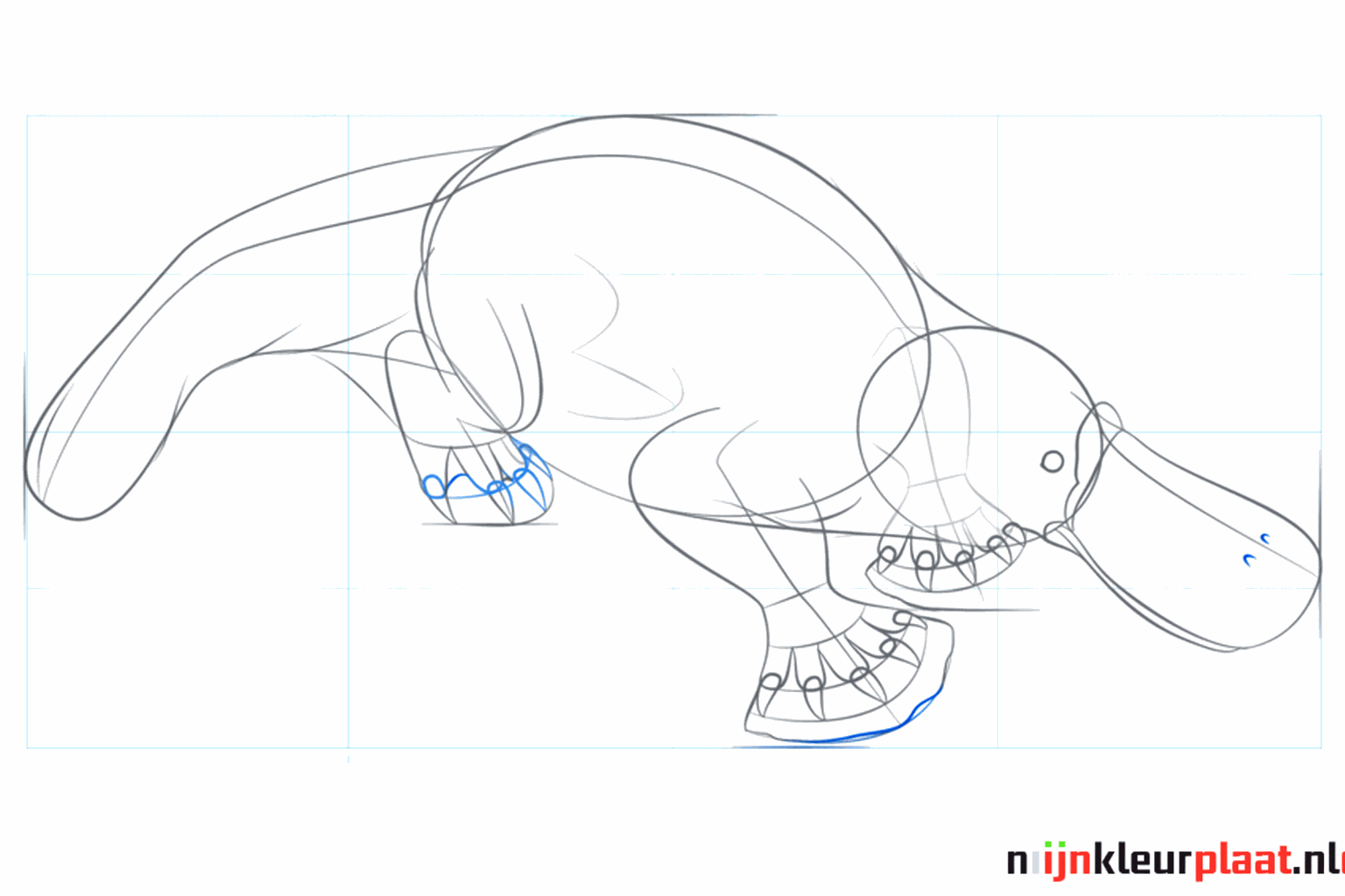 Dichtbij van de kop met een oog en nagels aan de zwempoten.