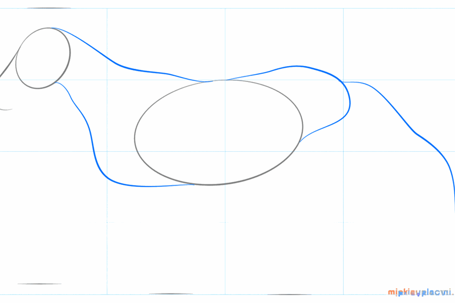 Teken de nek en de eerste lijn voor de staart van het paard.