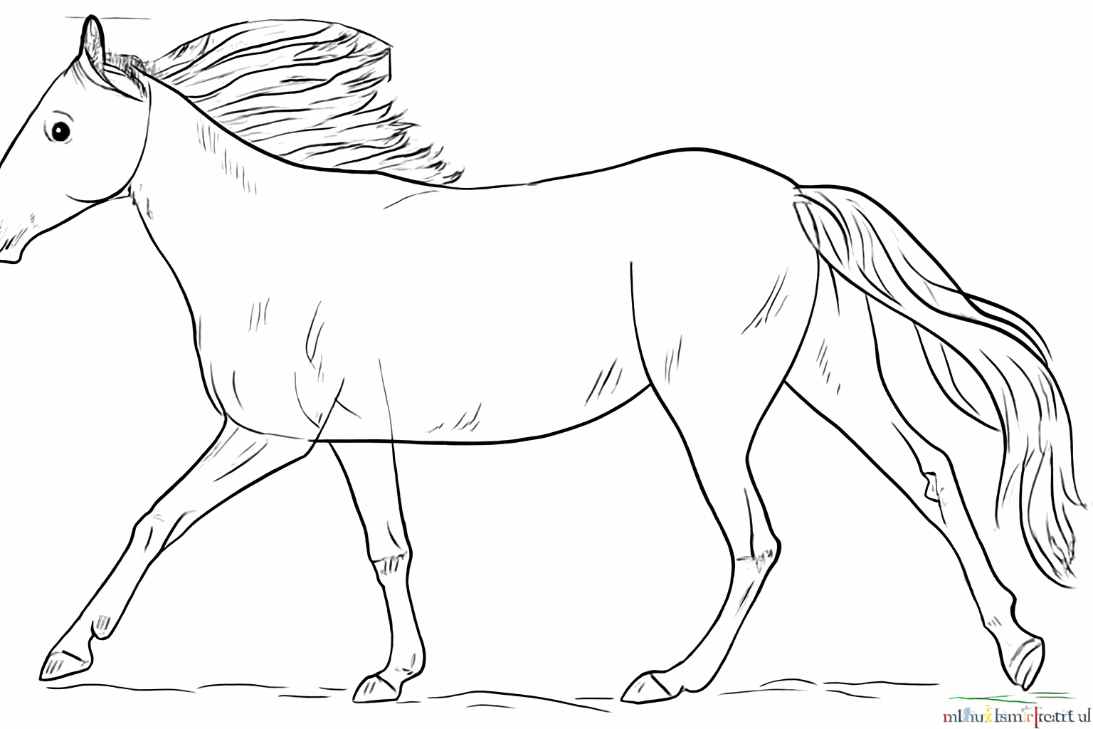 Voeg details toe zoals de neus en lijntjes bij de gewrichten.