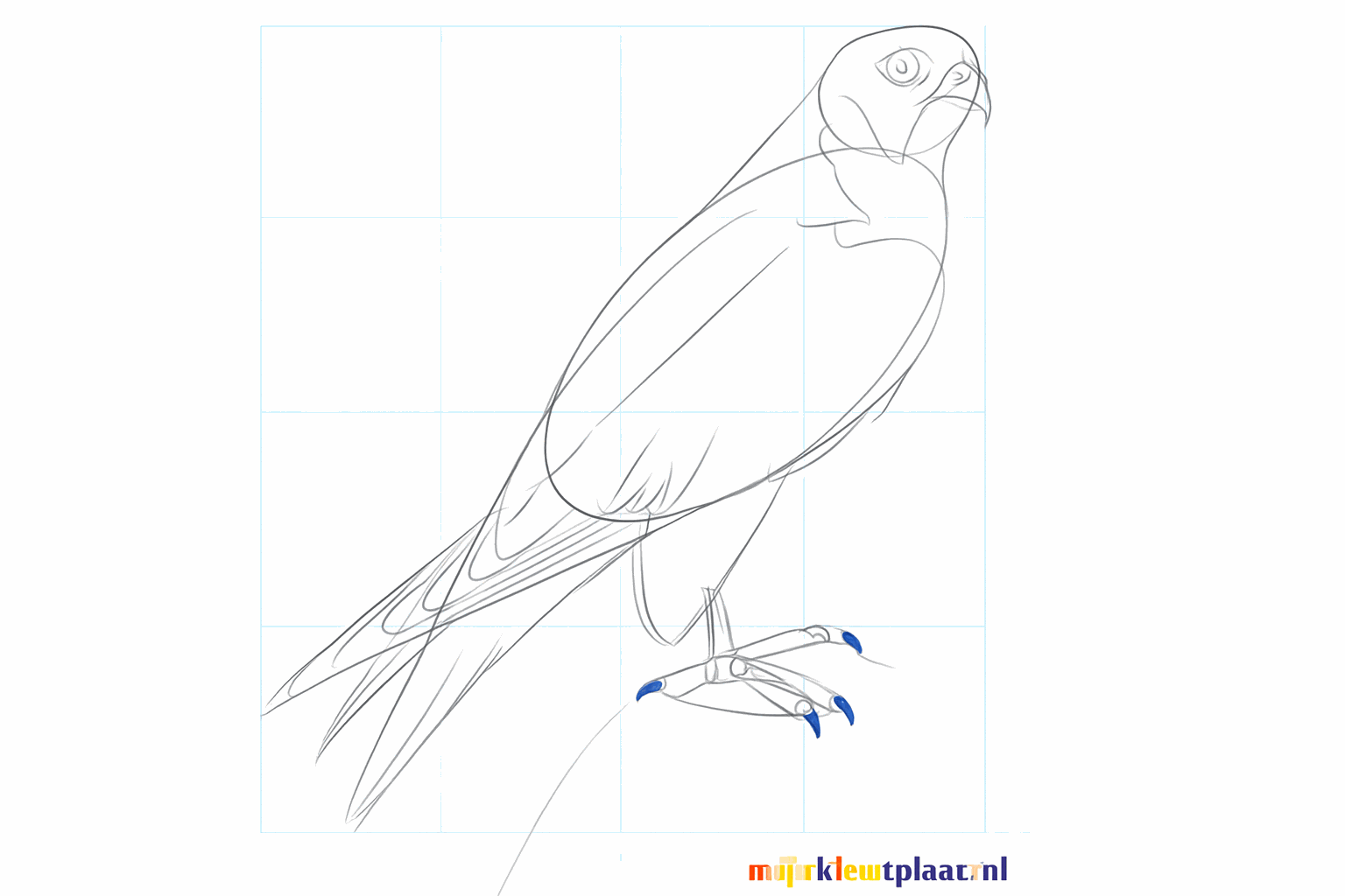 Veren op de vleugels en details op de snavel en kop.