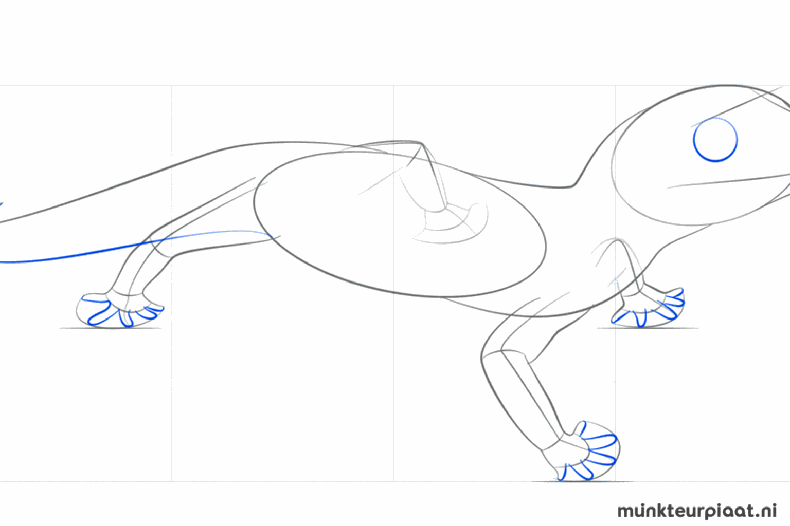 De omtrek van de kop en de dikte van de poten worden zichtbaar.