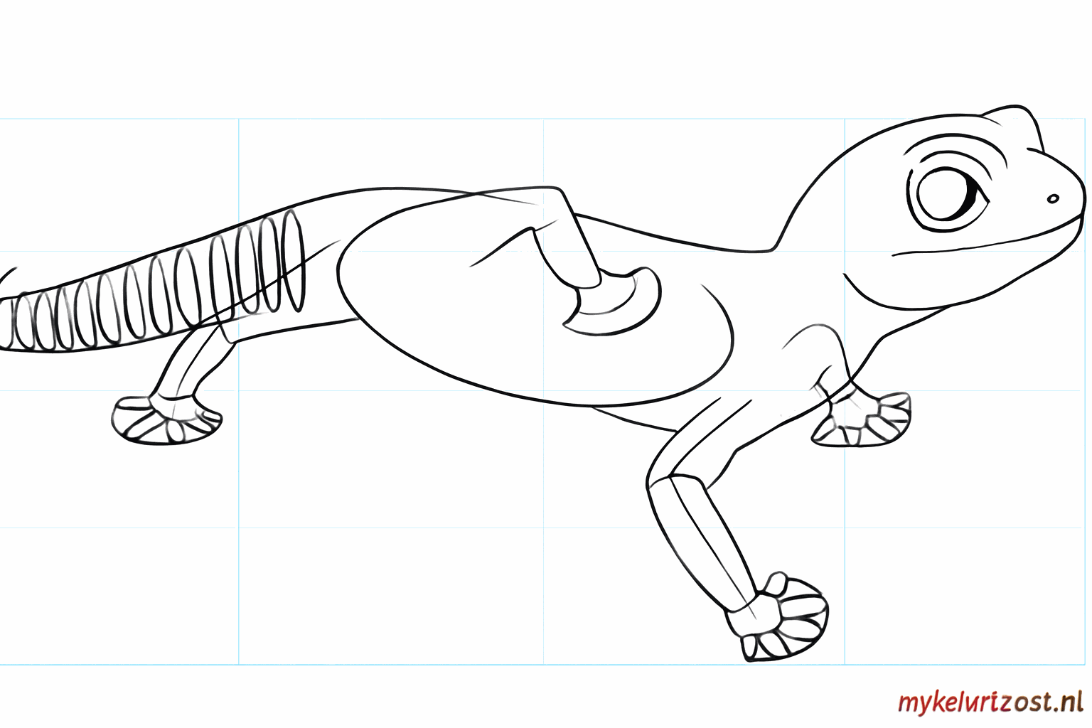 De gekko krijgt ronde ogen en een dikke, volle staart.