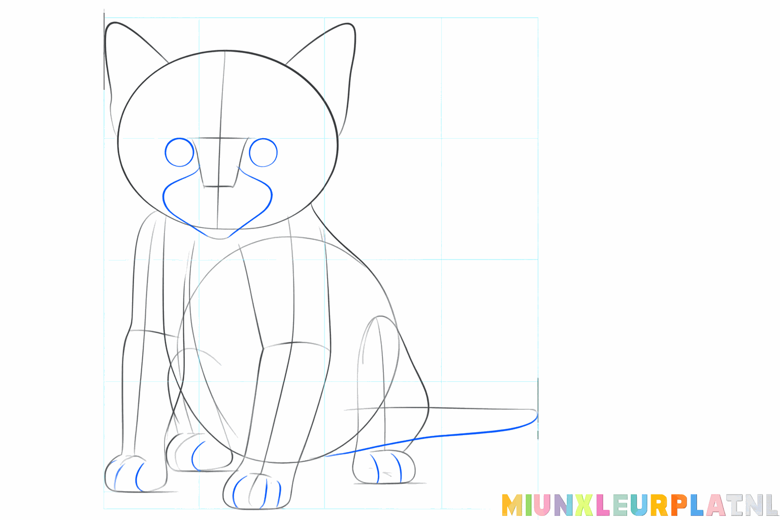 Dikkere lijnen voor de poten en een volle staart van het katje.