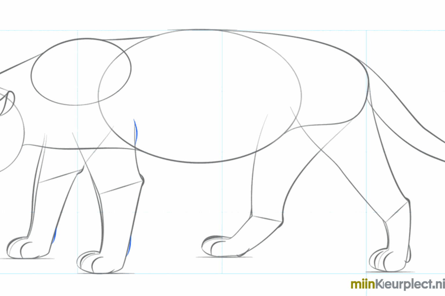 Ogen, neus en mond toevoegen aan het gezicht van de jaguar.