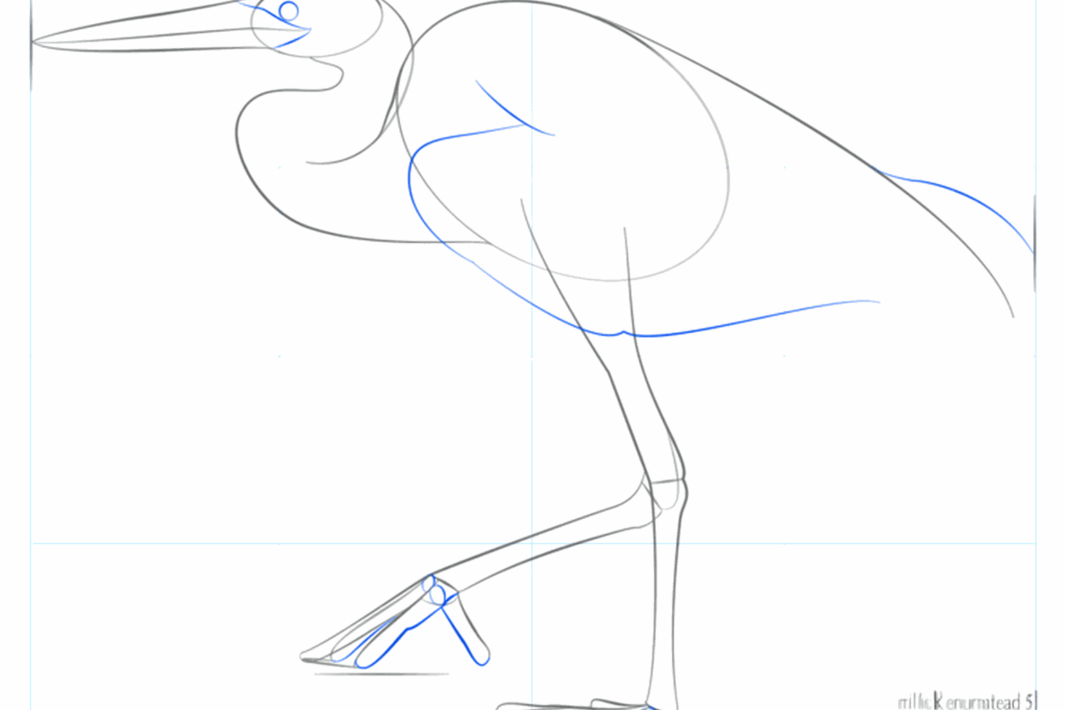 Detail van de kop met een oog en een scherpe snavel.