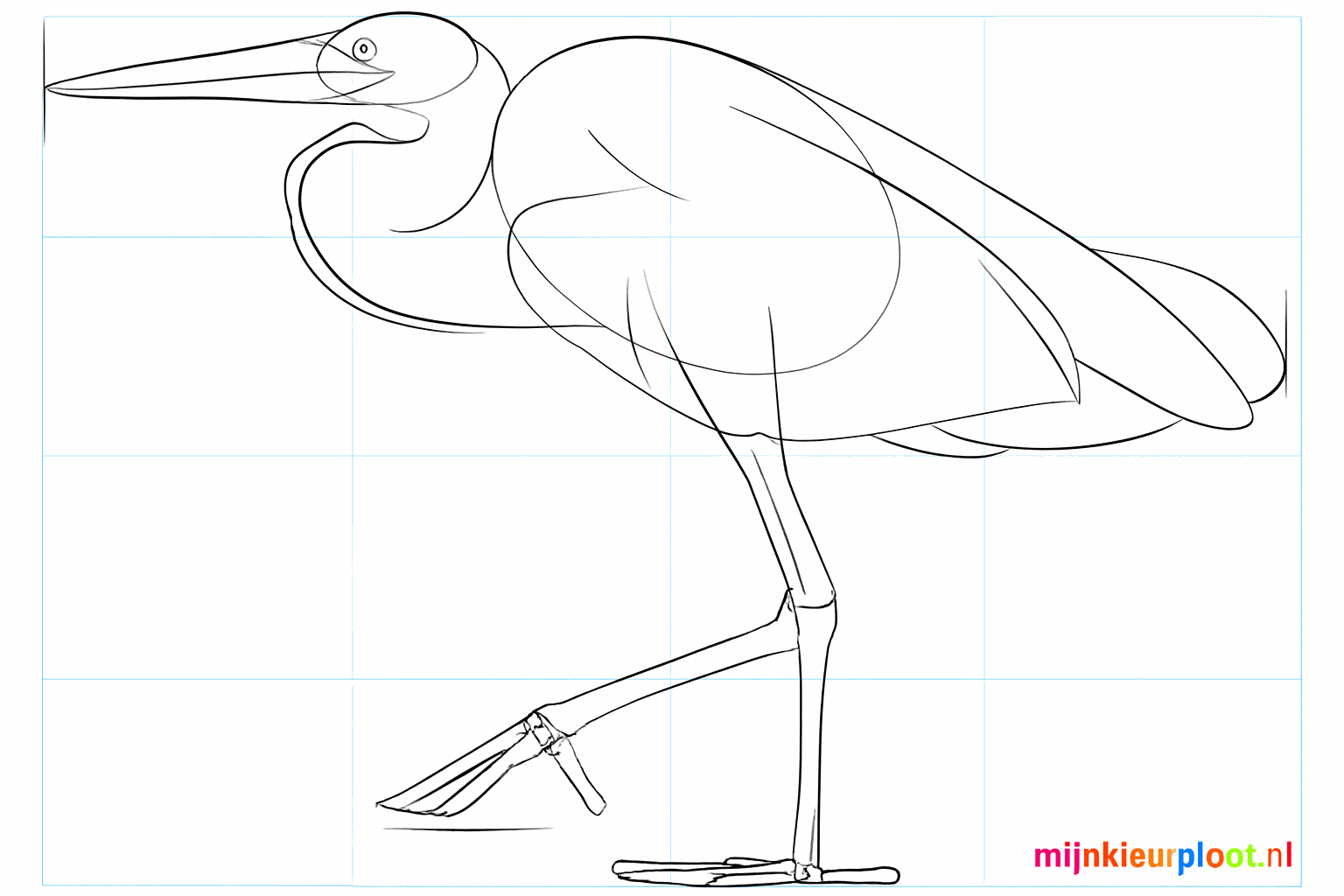 De vleugel op het lichaam en de tenen aan de onderkant van de poten.